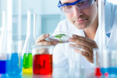 Illustration experiments - Image 1