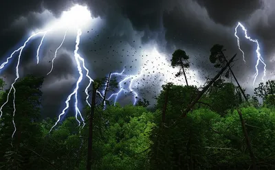 Illustration tear - Image 1