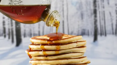 Illustration wax - Image 1