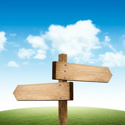 Illustration caption