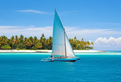 Illustration proa - Image 1