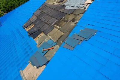 Illustration recovered - Image 1