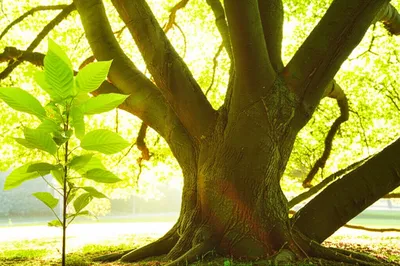 Illustration demise - Image 1