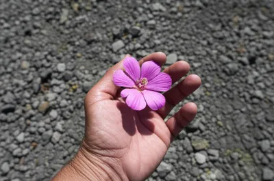 Illustration inured - Image 1