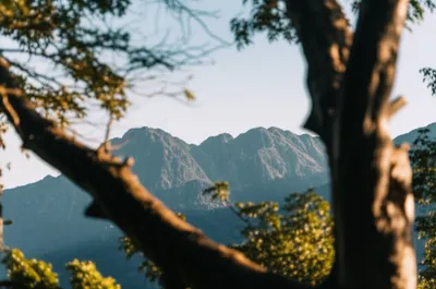 Illustration occlusion - Image 1