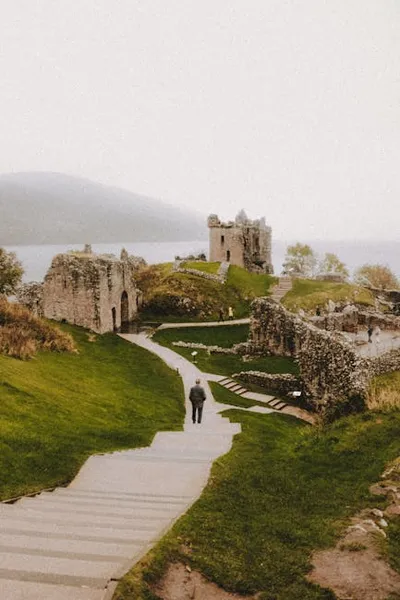 Hình ảnh minh họa ness - Ảnh 2