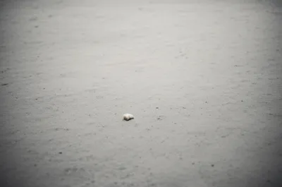 Illustration crumb - Image 1