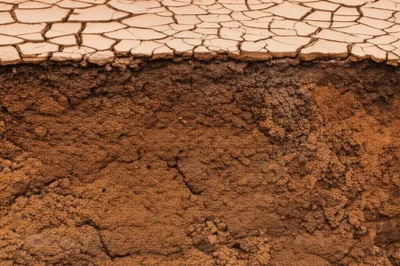 Illustration cuirasses - Image 1