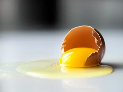 Illustration addle - Image 1