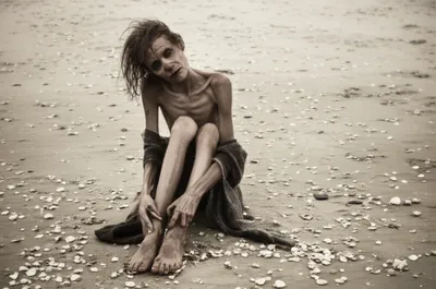 Illustration shells - Image 1