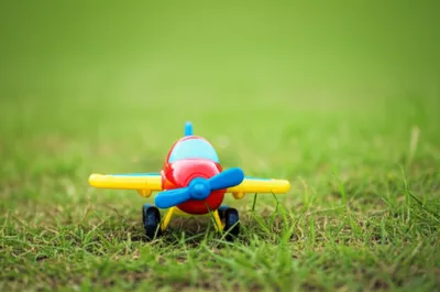 Illustration grass - Image 1