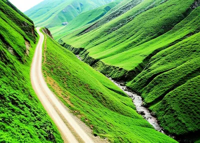 Illustration crick - Image 1