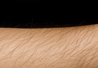 Illustration hairy - Image 1