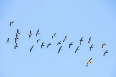 Illustration deviations - Image 1