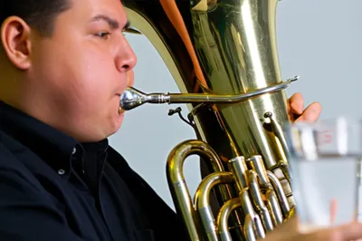 Illustration growled - Image 1