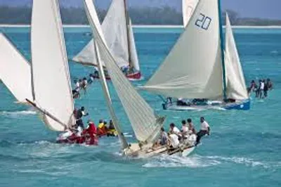 Illustration regatta - Image 2