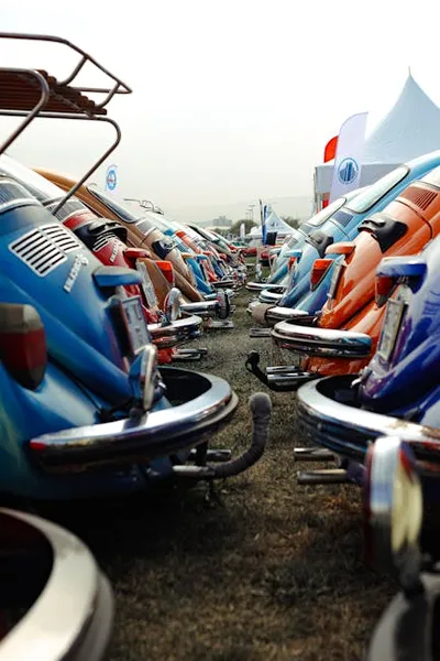 Illustration rears - Image 2