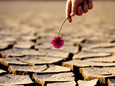 Illustration dropped - Image 1