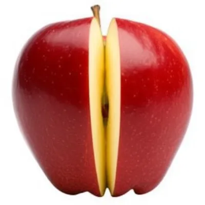 Illustration halves - Image 1