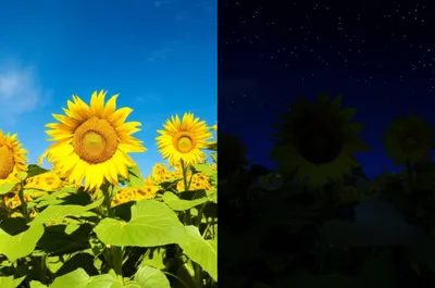 Illustration negation - Image 1