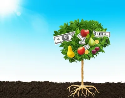 Hình ảnh minh họa vested - Ảnh 1