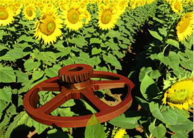 Illustration cog - Image 1