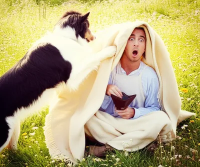 Illustration fleeced - Image 1