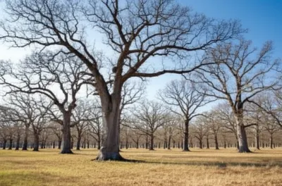 Illustration centuries - Image 1