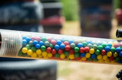 Hình ảnh minh họa guppy - Ảnh 1