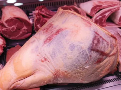 Illustration hindquarters