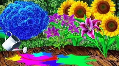 Illustration queerer - Image 1