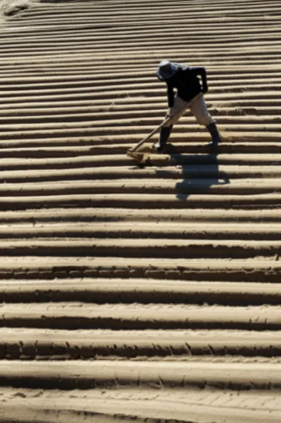 Illustration lists - Image 1