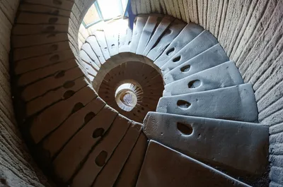 Illustration habitually - Image 1