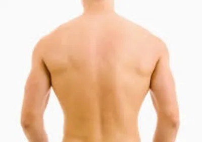 Illustration back - Image 3