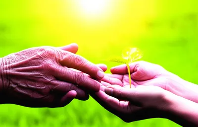 Illustration inheriting - Image 1