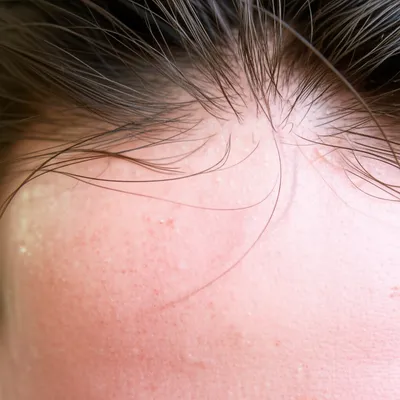 Illustration sweated - Image 1