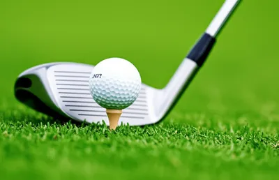 Illustration tee - Image 1