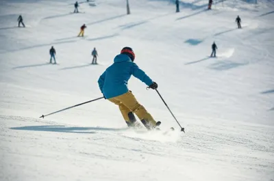 Illustration switch - Image 1