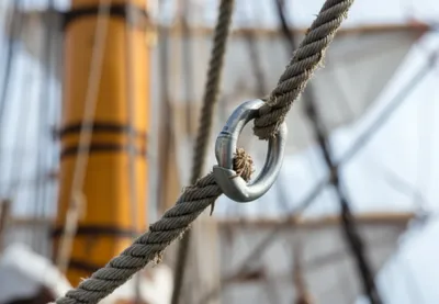 Illustration thimble - Image 1