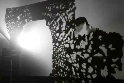 Illustration cookies - Image 1