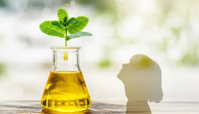 Illustration extracts - Image 1