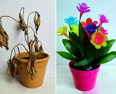 Illustration embellished - Image 1