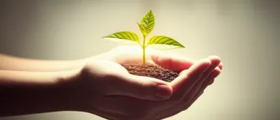 Illustration charitable - Image 1