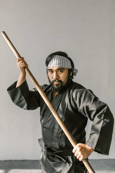 Hình ảnh minh họa bo - Ảnh 2