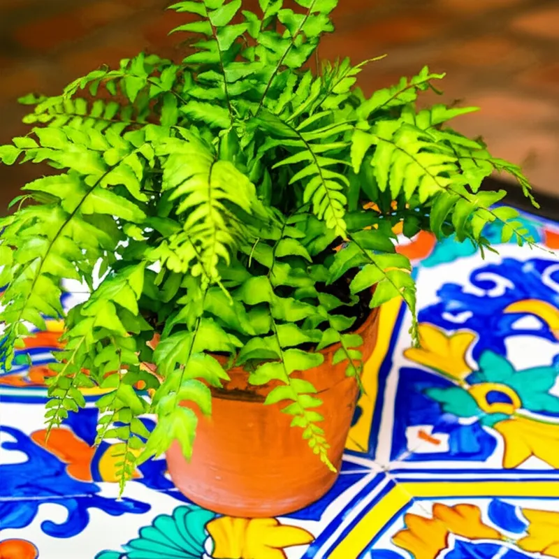 Ilustración visual de la palabra "decorative" - Elemento decorativo, adorno