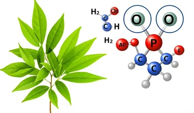 Illustration phosphates - Image 1