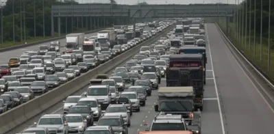 Illustration snarl - Image 1