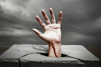 Illustration gripe - Image 1