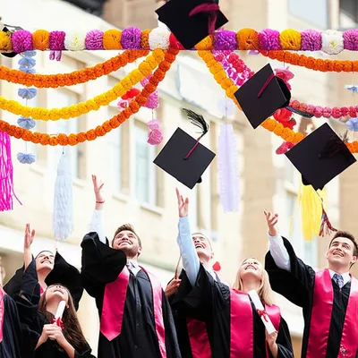 Illustration festoon - Image 1