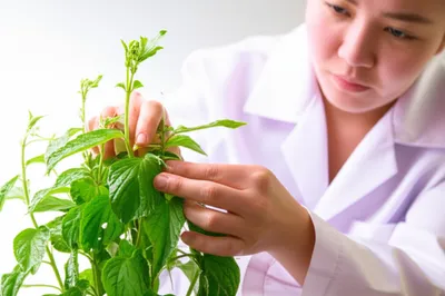 Illustration attendant - Image 1